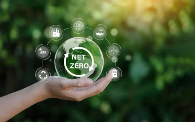 What Is Net Zero? Climate Targets Explained for India