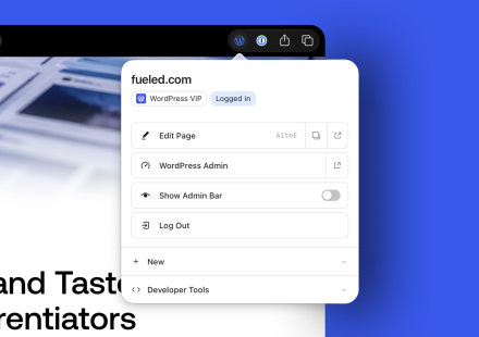 WordPress.org blog: Introducing the WordPress Browser Extension.